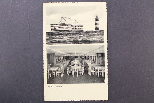 Brema oceana - m.s., "oceana"